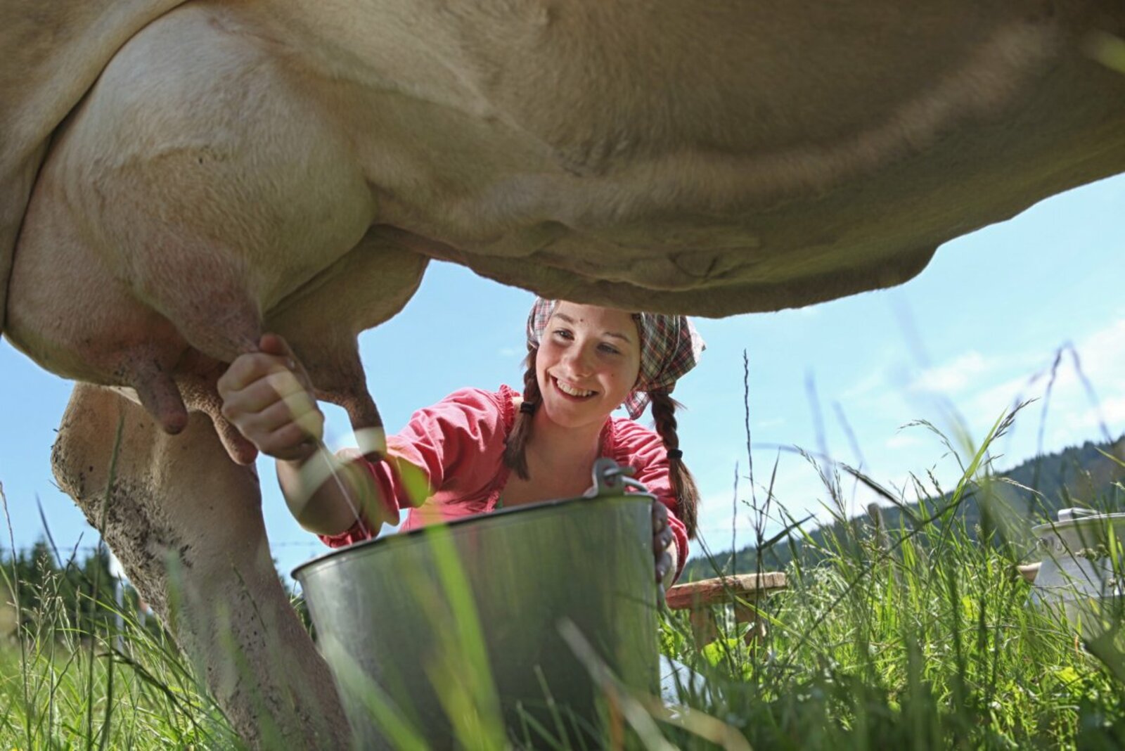 Кучерявая фермерша с большими батонами пила молоко под деревом 