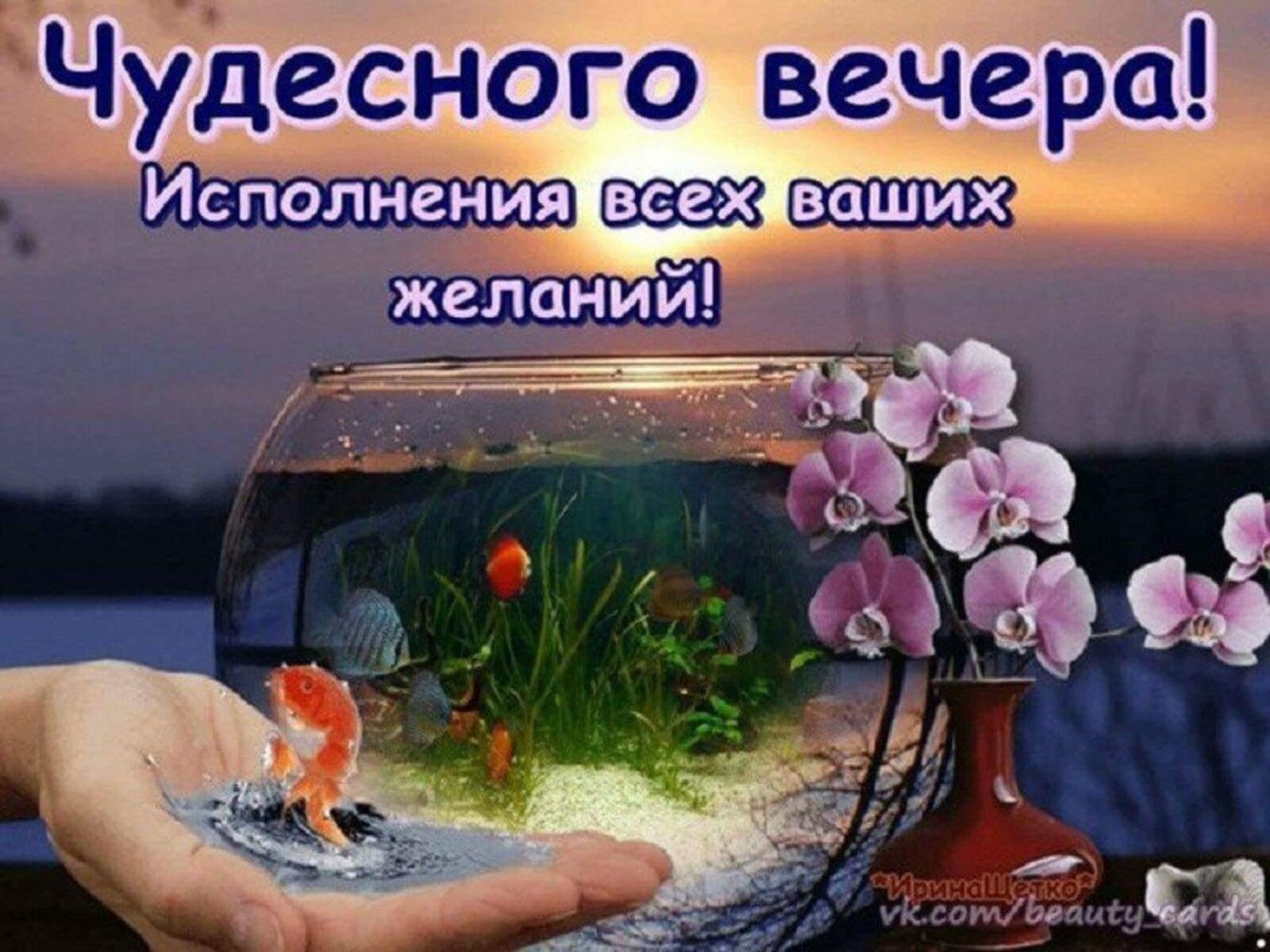 Добрый Вечер Александр Картинки