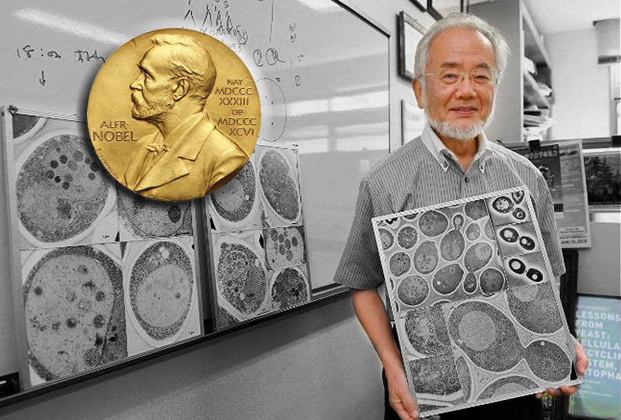 Физиология һәм медицина өлкәһе буйынса Нобель премияһы лауреаты, Япония биологы Ёсинори Осуми: АСЫҒЫП ТАҘАРЫН!