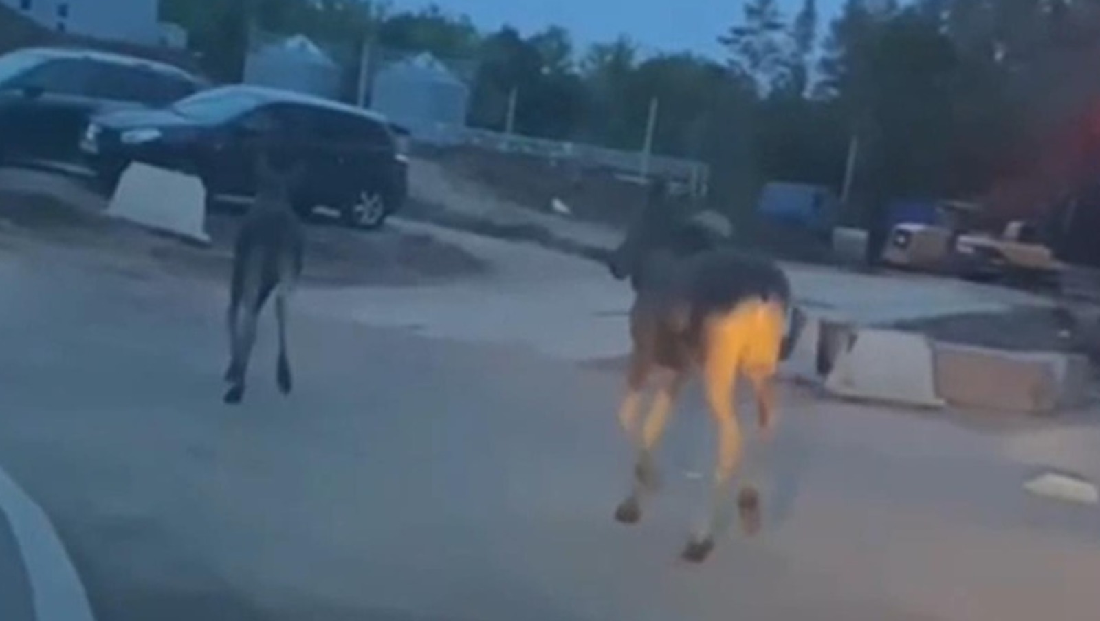 соцсети