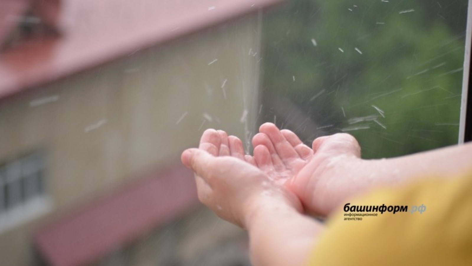 Ксения Калинина