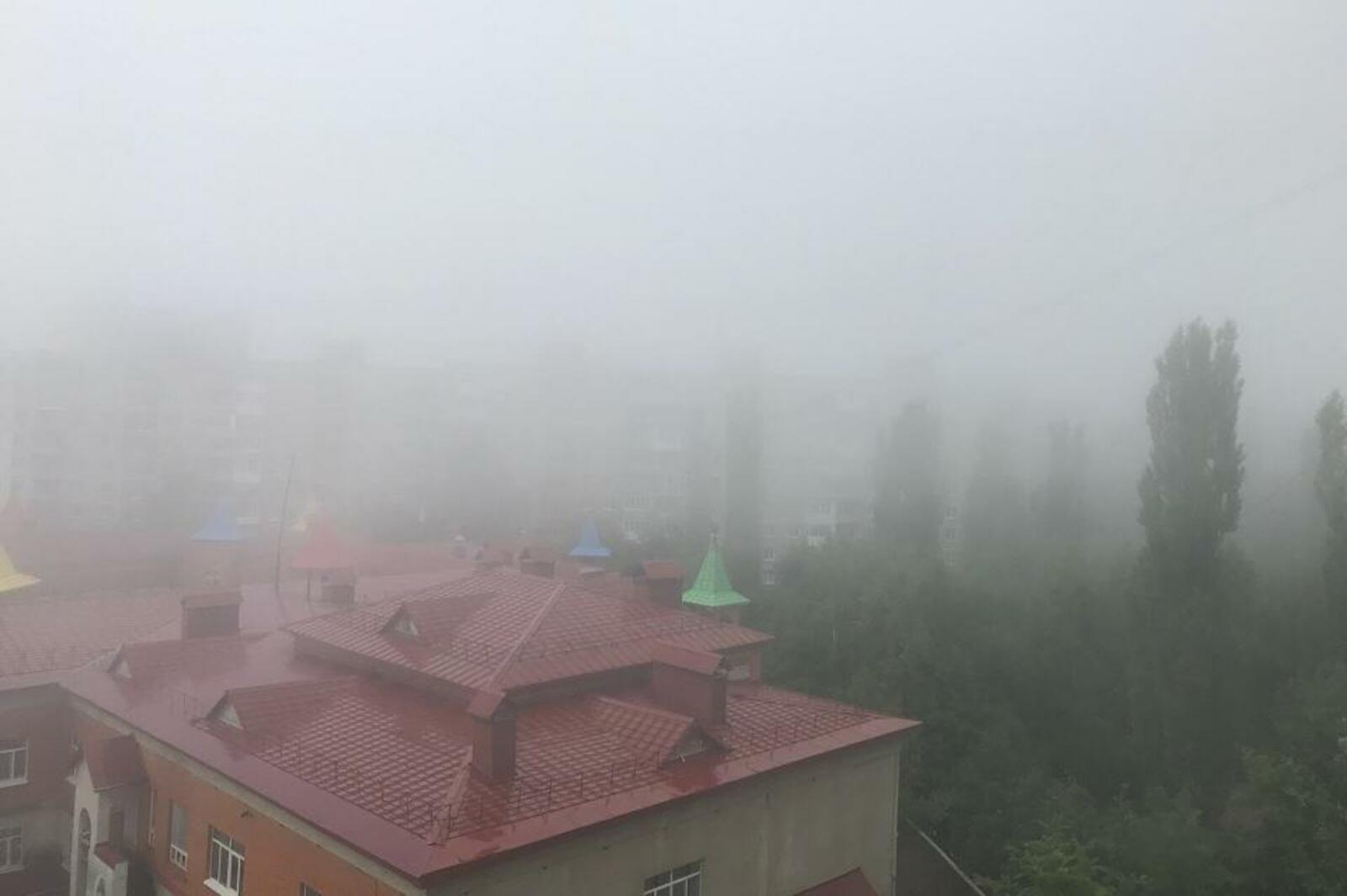 Ксения Калинина