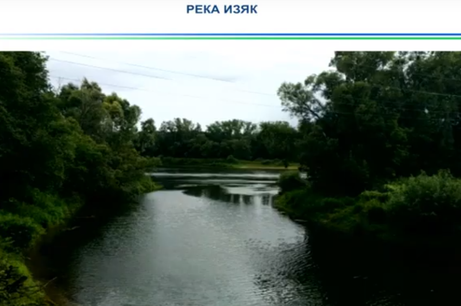 видеотрансляциянан стоп-кадр