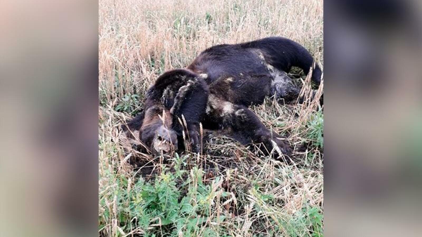 газета Башкортостан