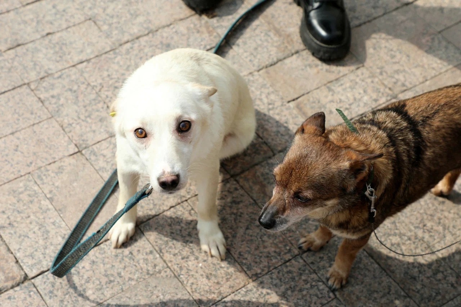 пресс-служба  администрация Уфы