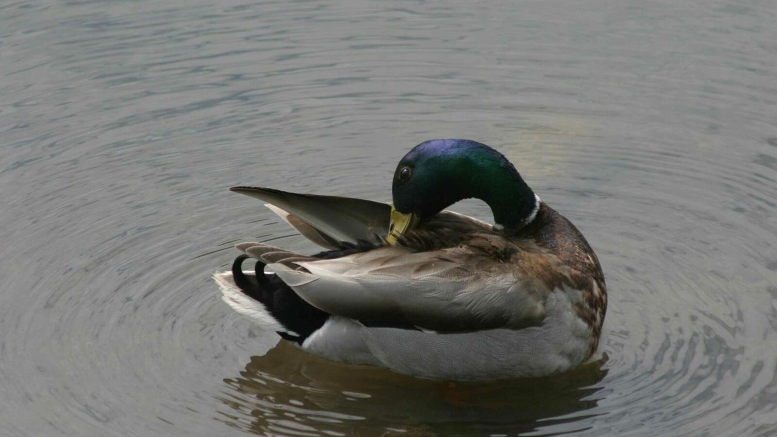 Олег Яровиков