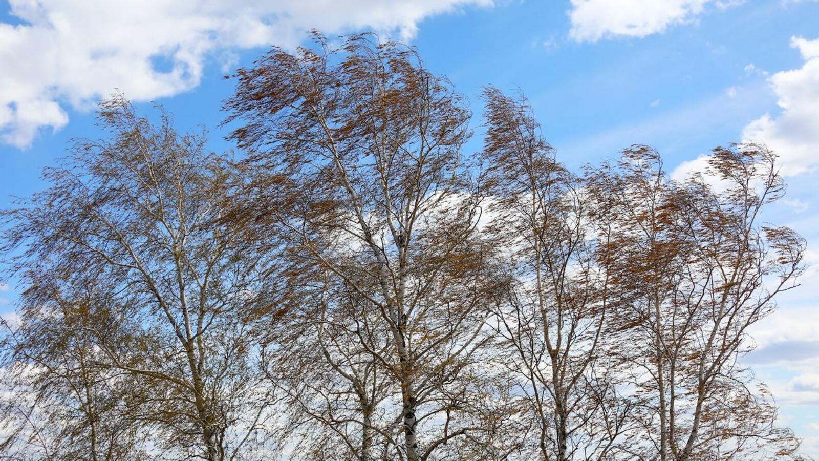 Валерий Шахов