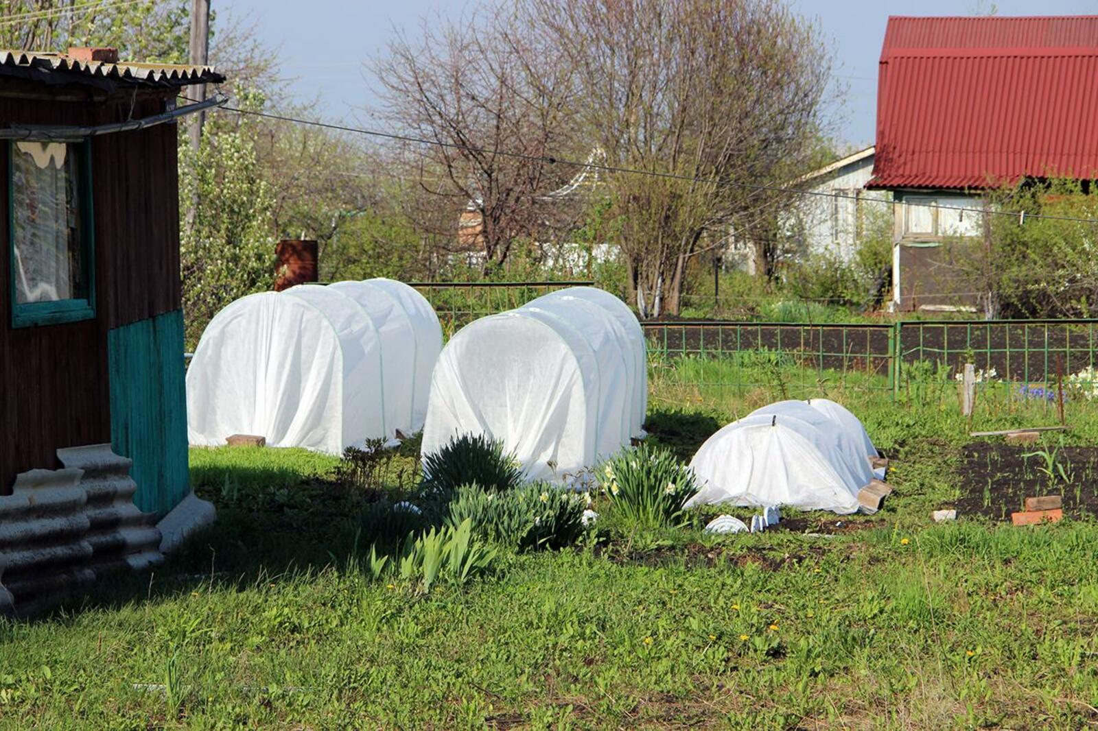 Мирон Доровских