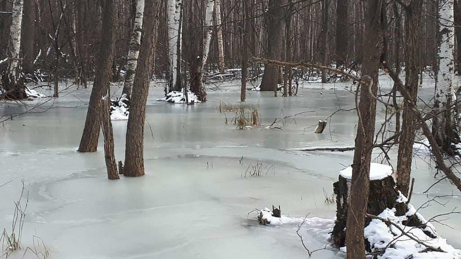 телеканал UTV