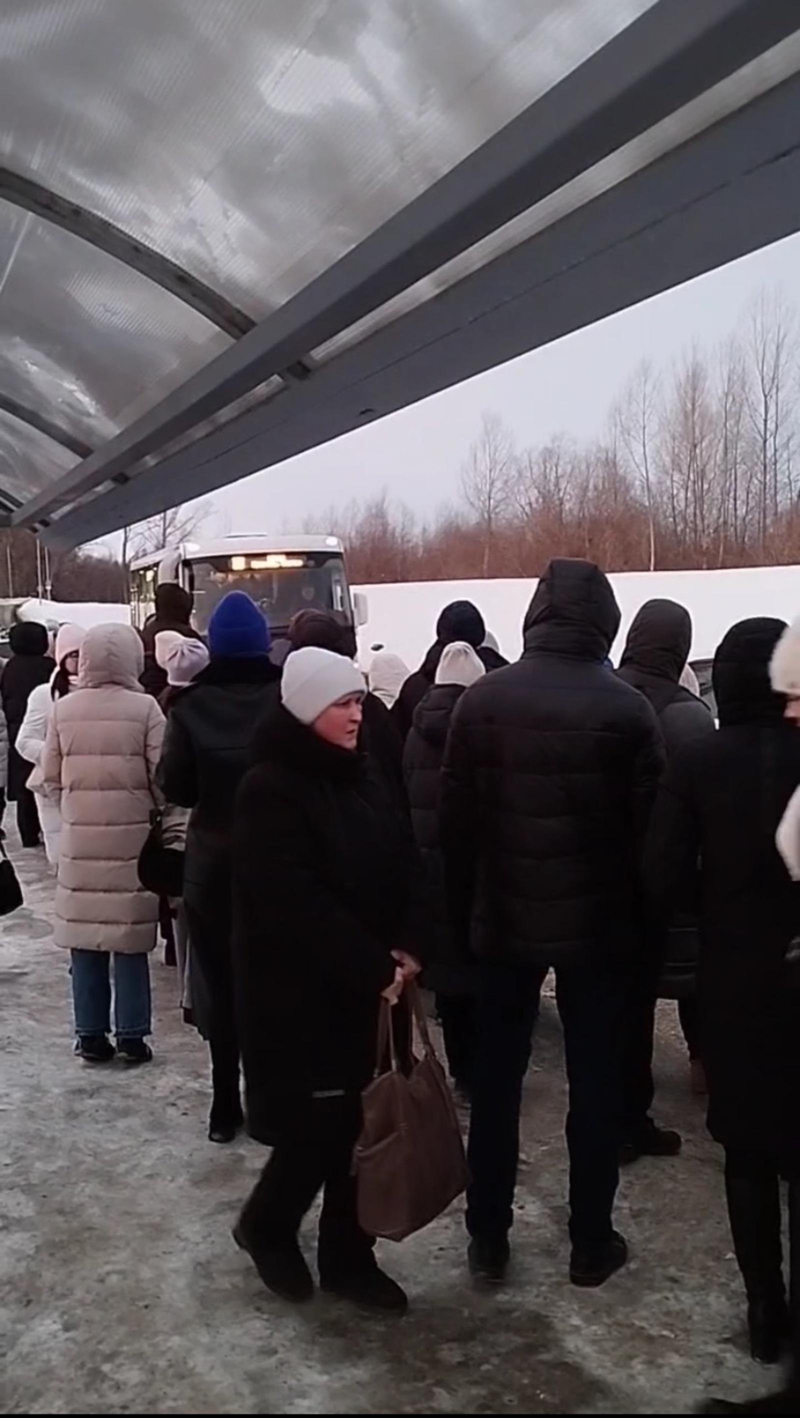 скриншот видео