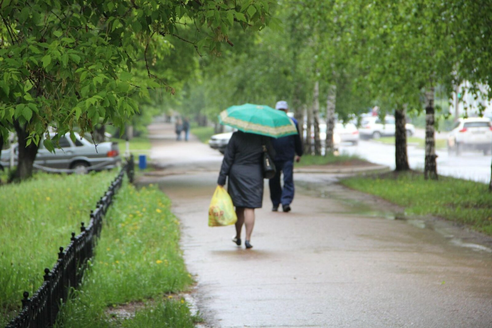 автор