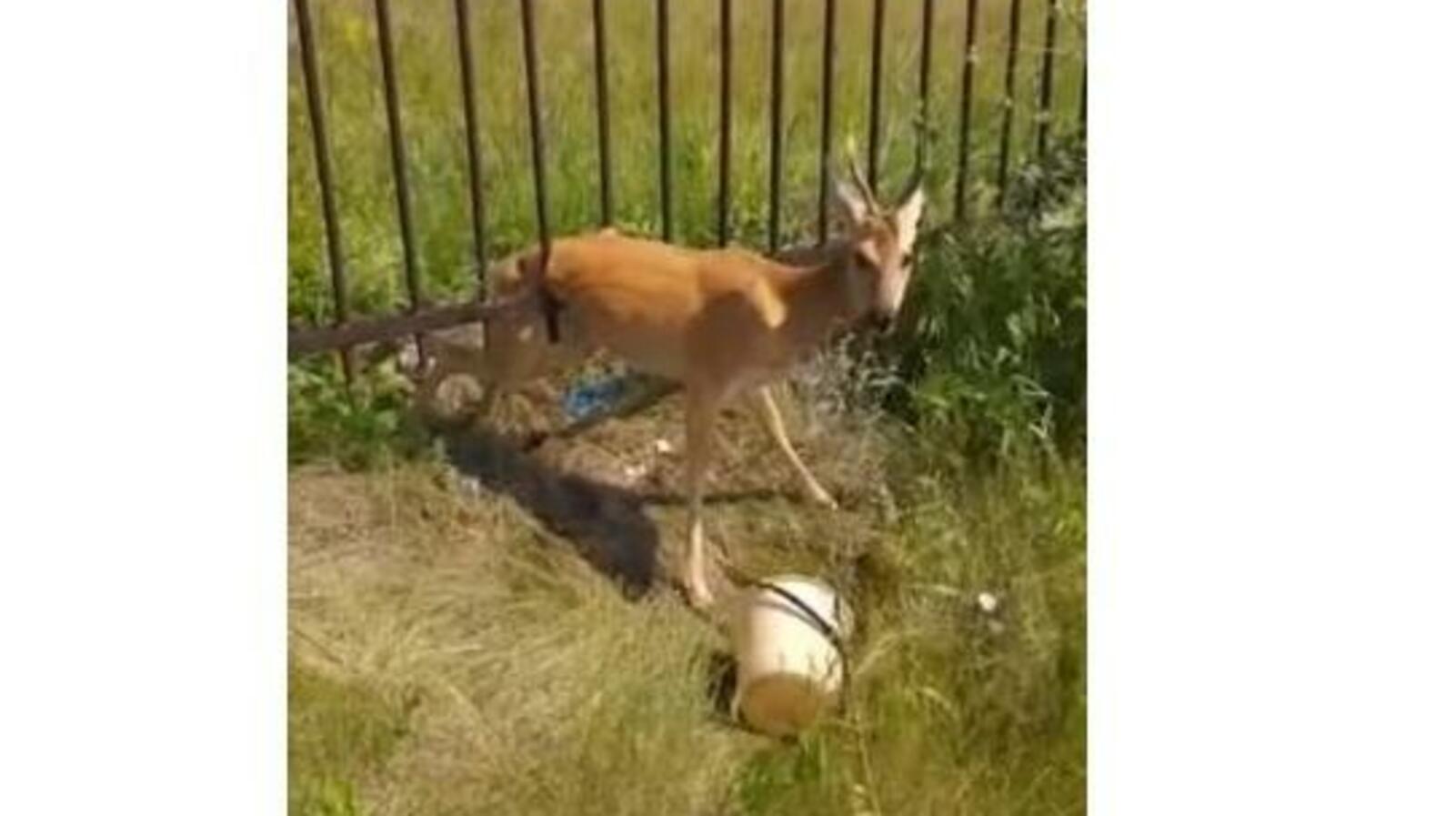 стоп-кадр видео