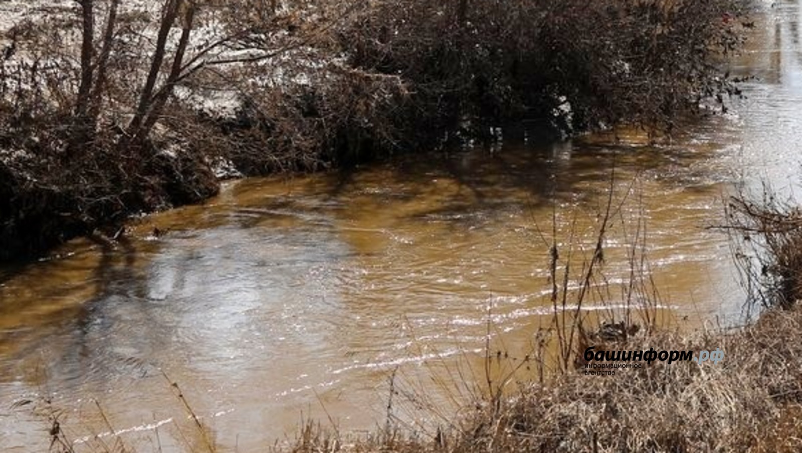 Валерий Шахов архив "Башинформа"