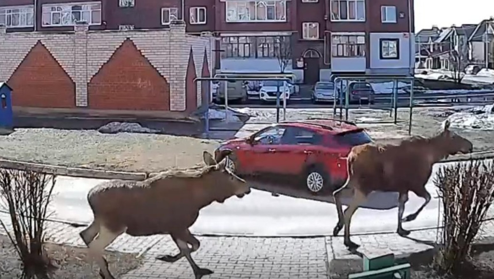 соцсети
