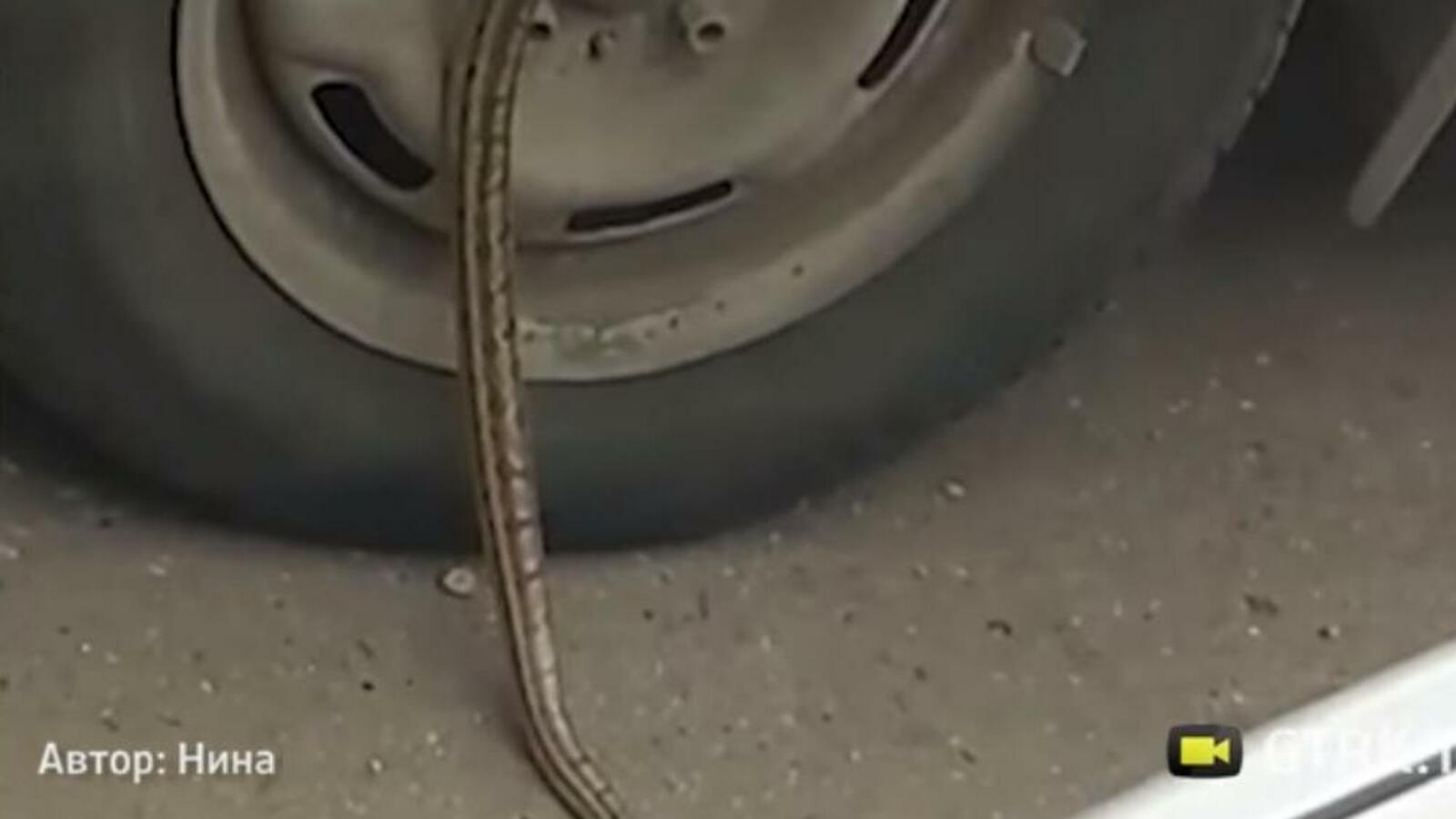 ГТРК «Башкортостан»