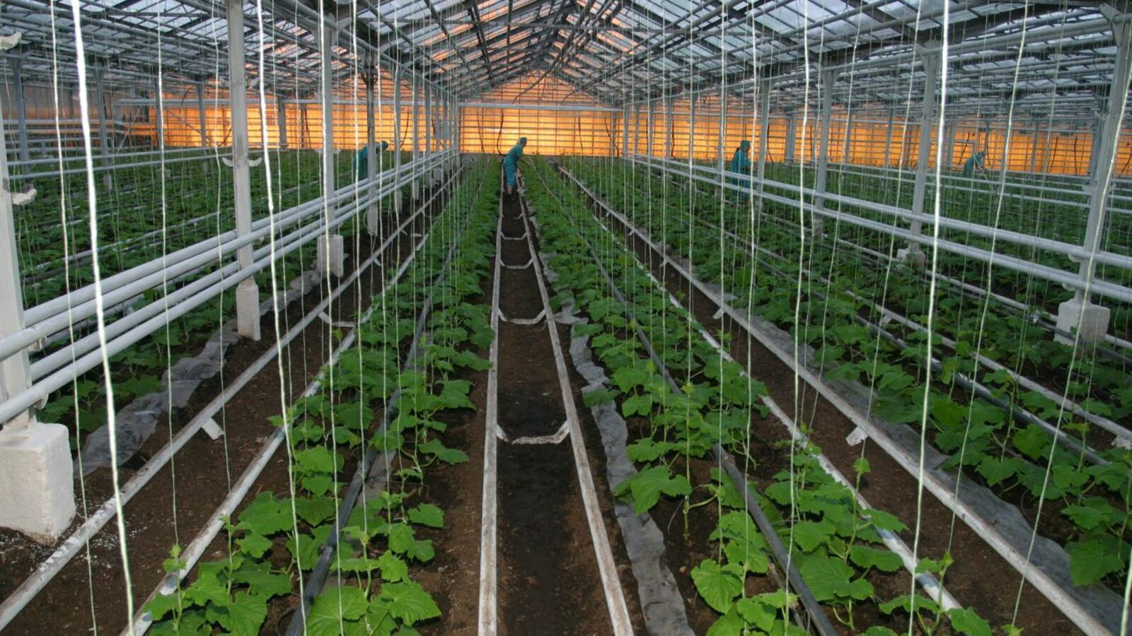 Олег Яровиков