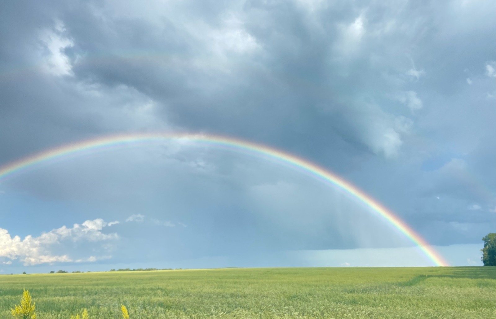 Галина Бахшиева