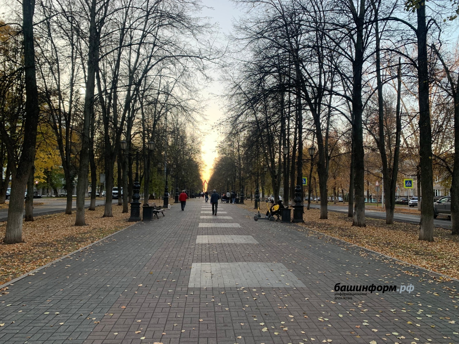 Галина Бахшиева