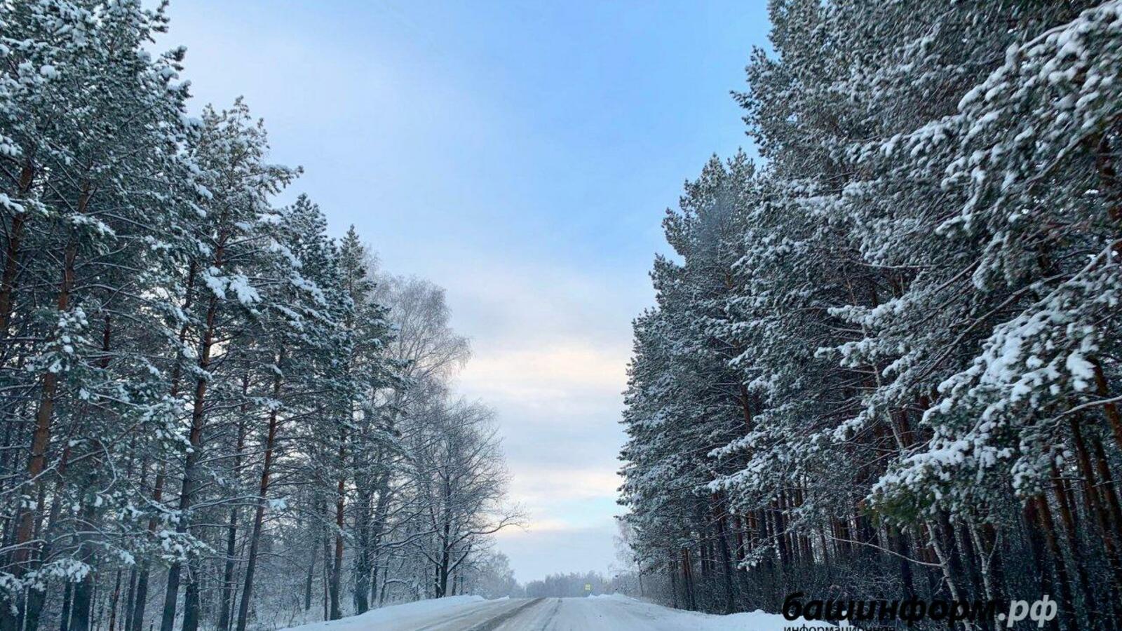 Галина Бахшиева