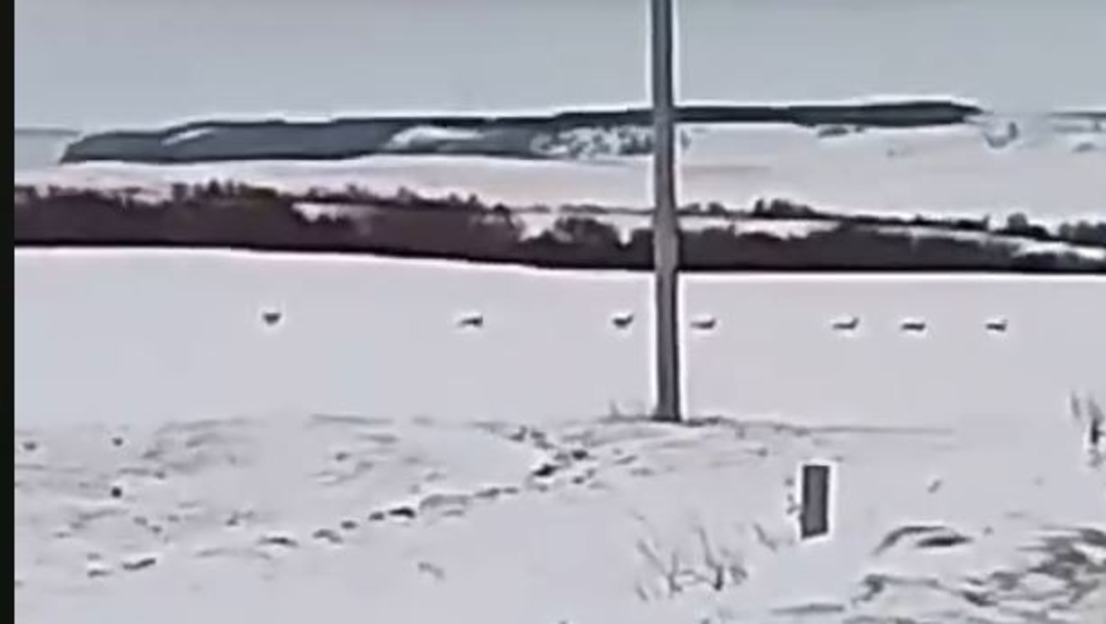 скриншот видео природный парк «Аслы-Куль»