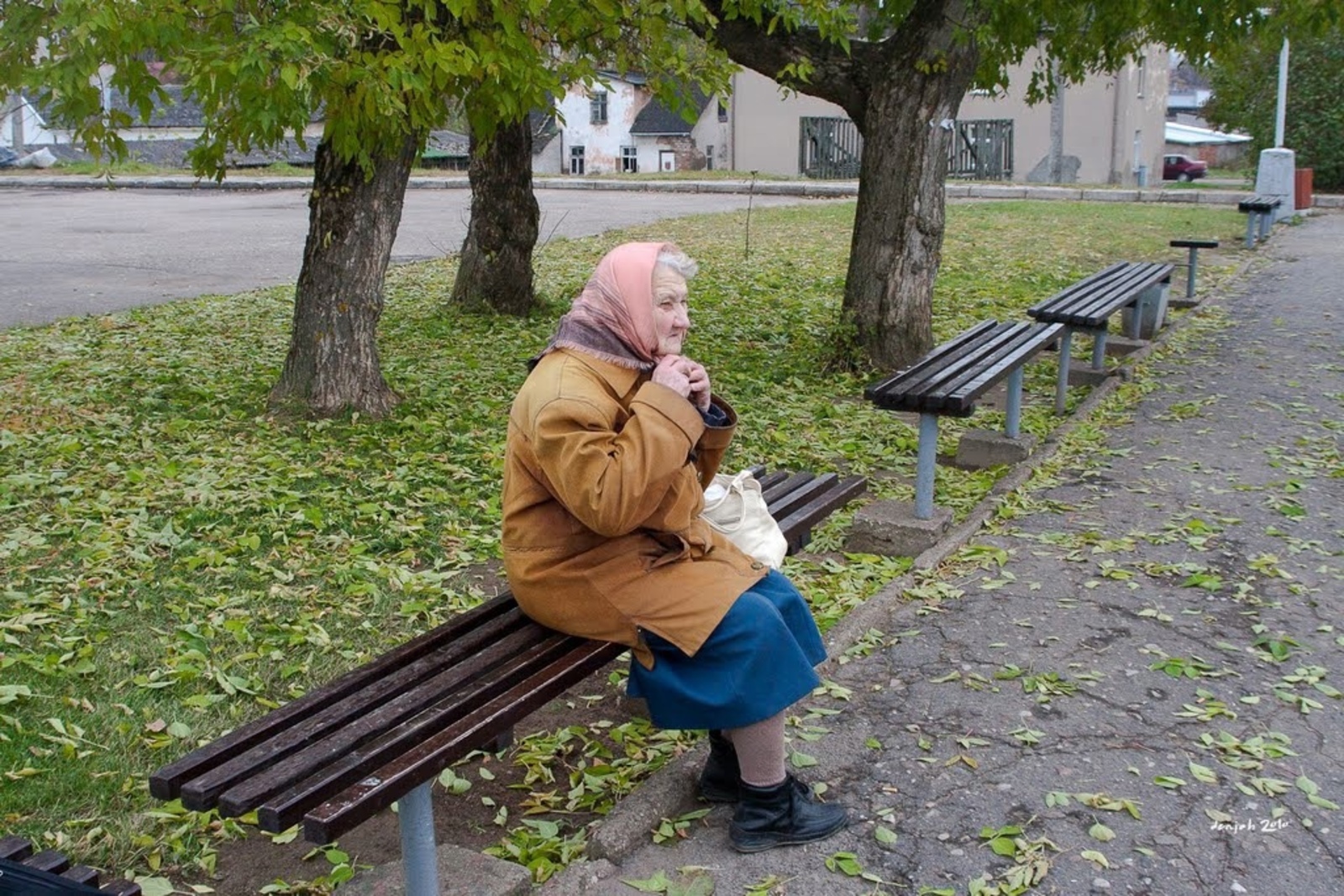 Бабушка пришла в школу. Бабушки на скамейке. Бабушка сидит на скамейке. Старушка на скамейке. Старушка на лавочке в парке.