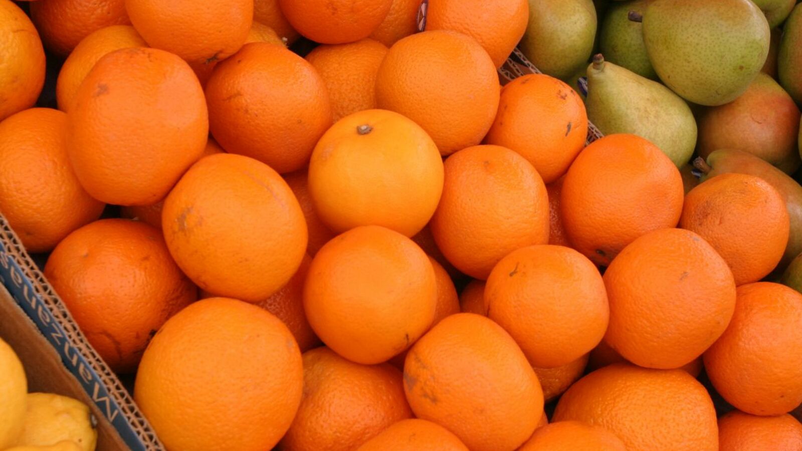 Андрей Старостин