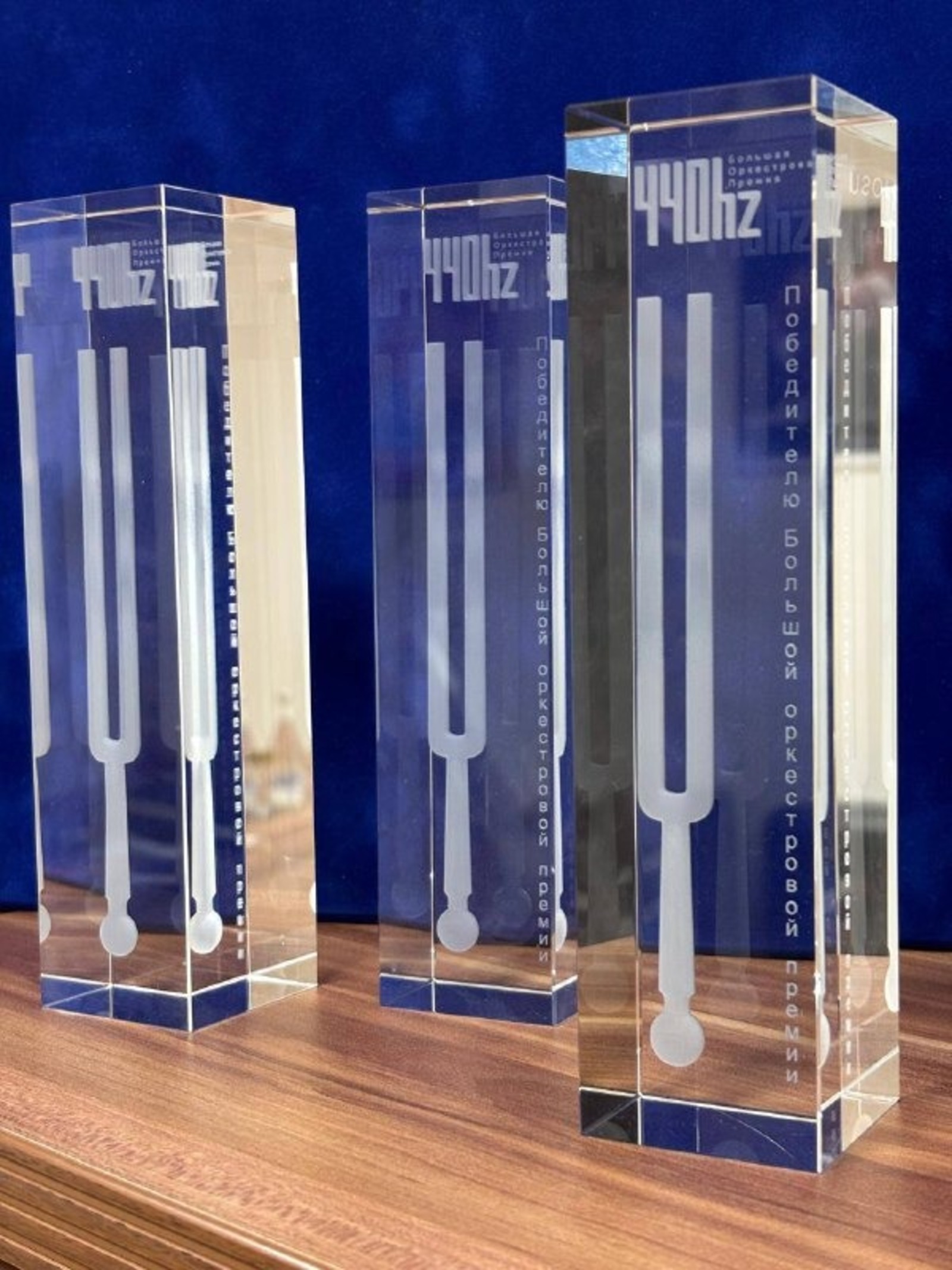 Амина Шафикова ТГ-канал