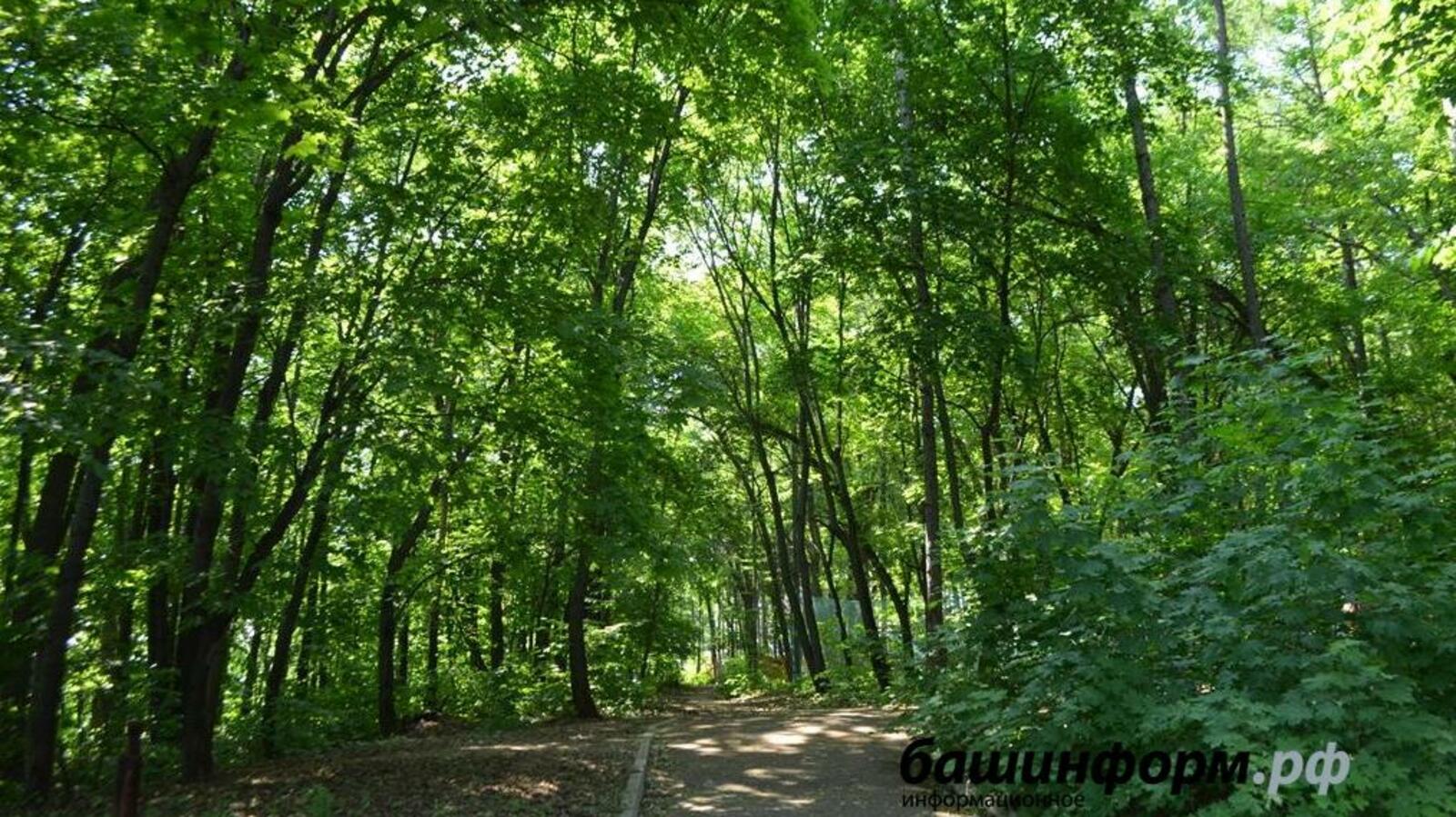 ИА «Башинформ»