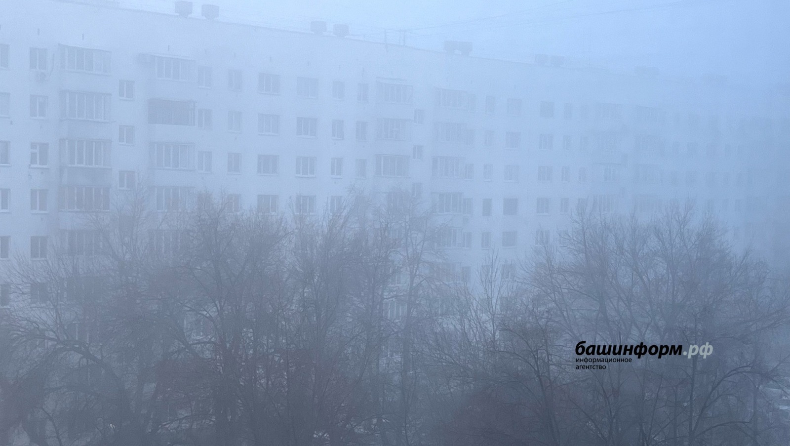Ксения Калинина