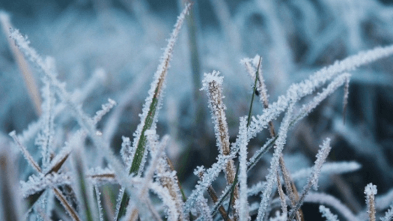 Госкомитет РБ по ЧС