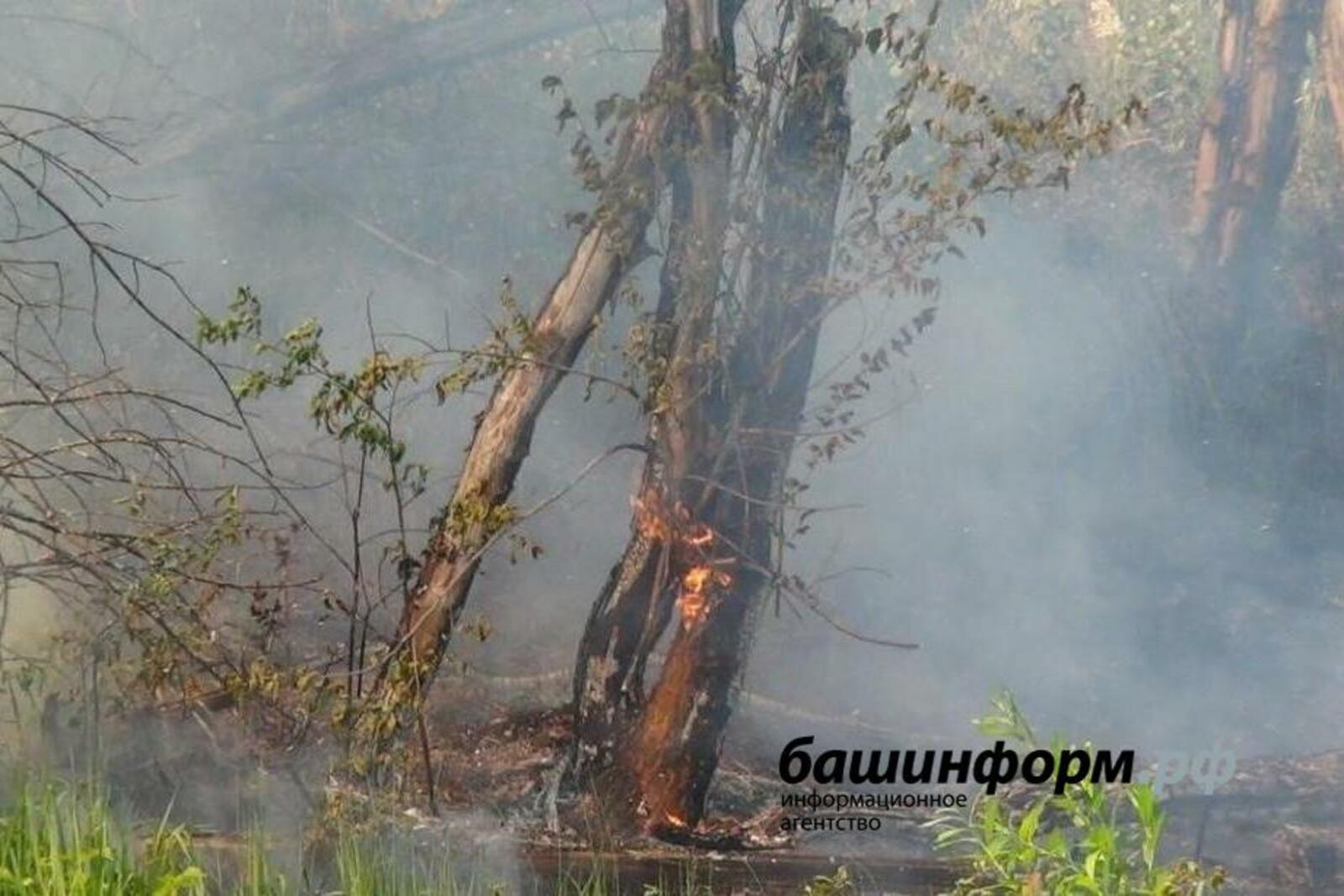 «Башинформ» мәғлүмәт агентлығы