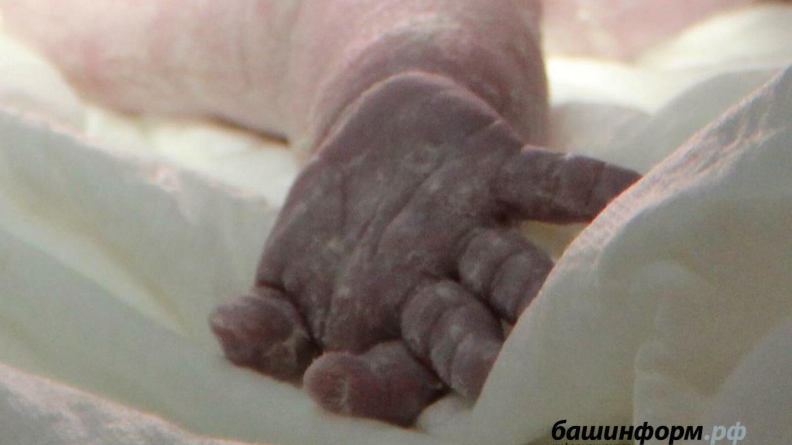 Ксения Калинина