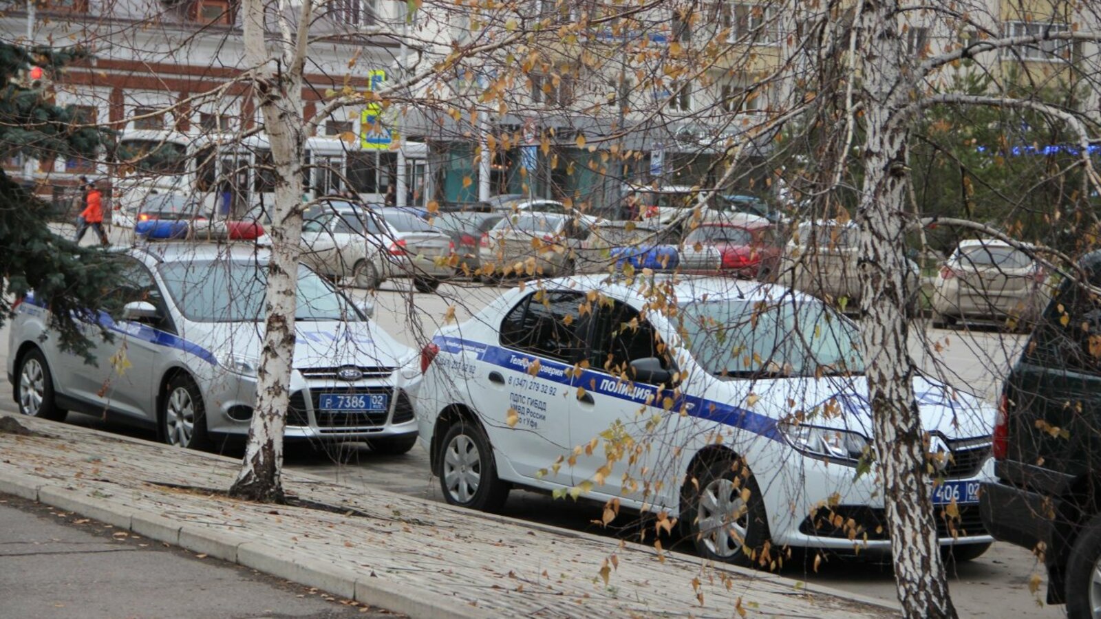 Ксения Калинина