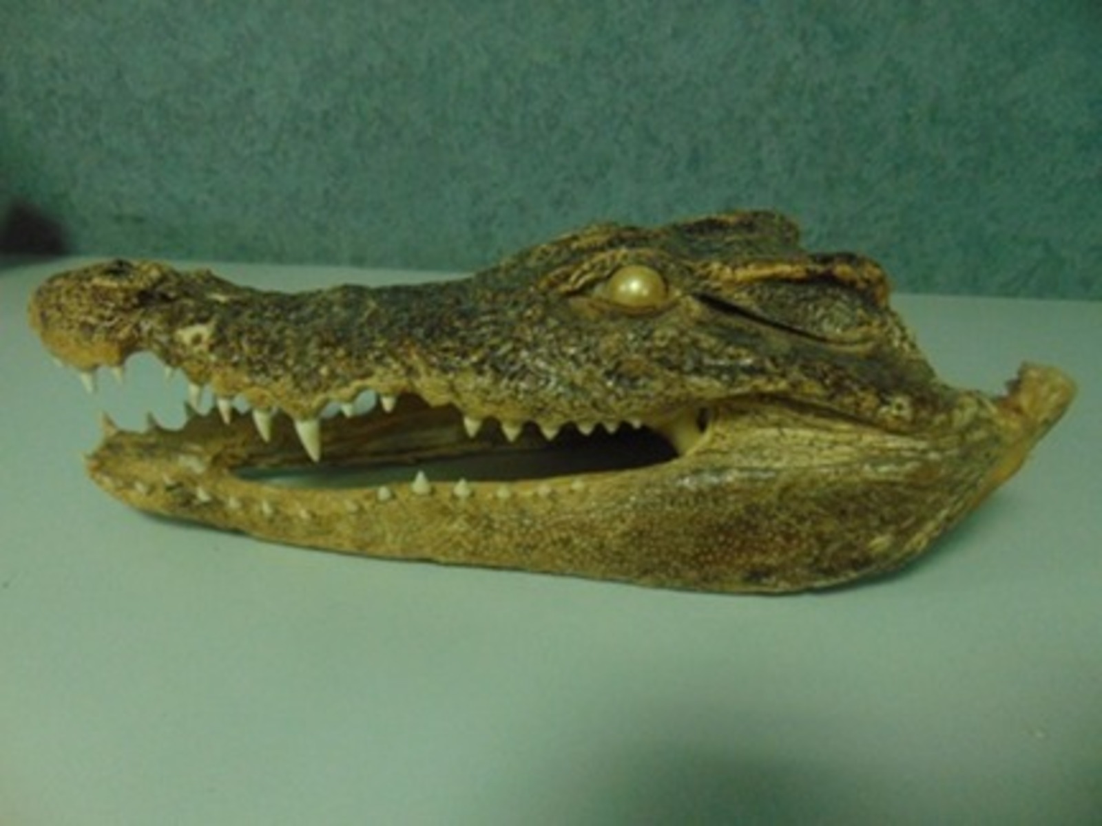 пресс-служба Башкортостанская таможня