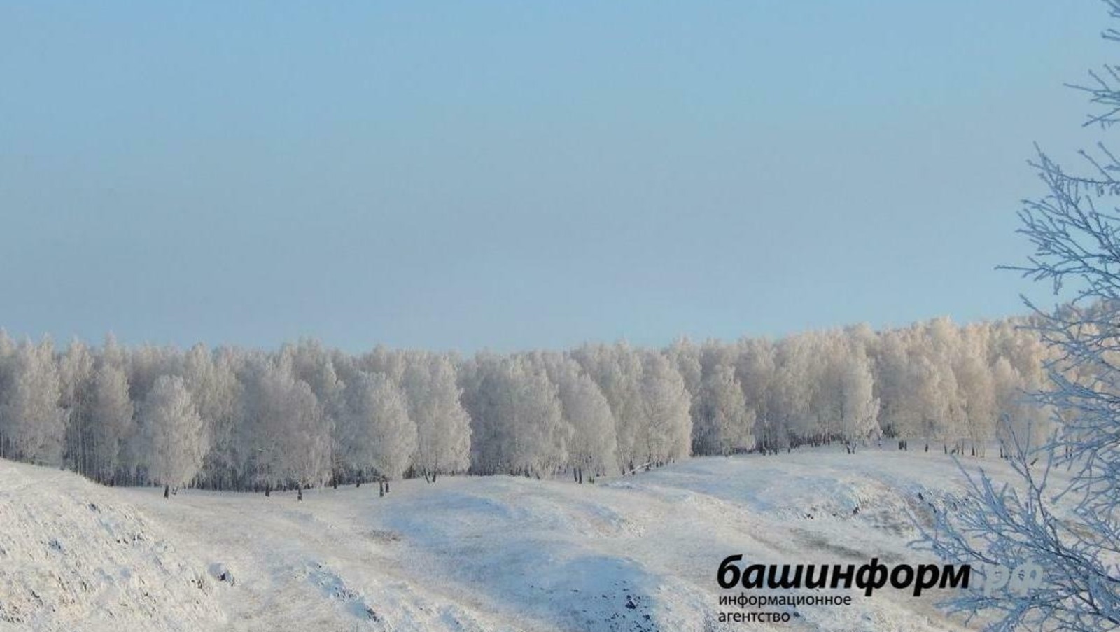 ИА «Башинформ»  архив