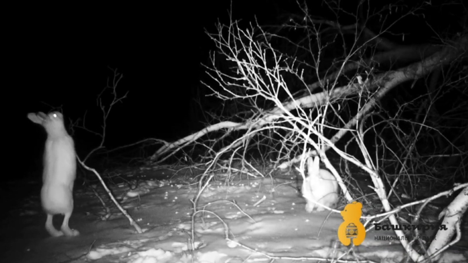 нацпарк «Башкирия» соцсети