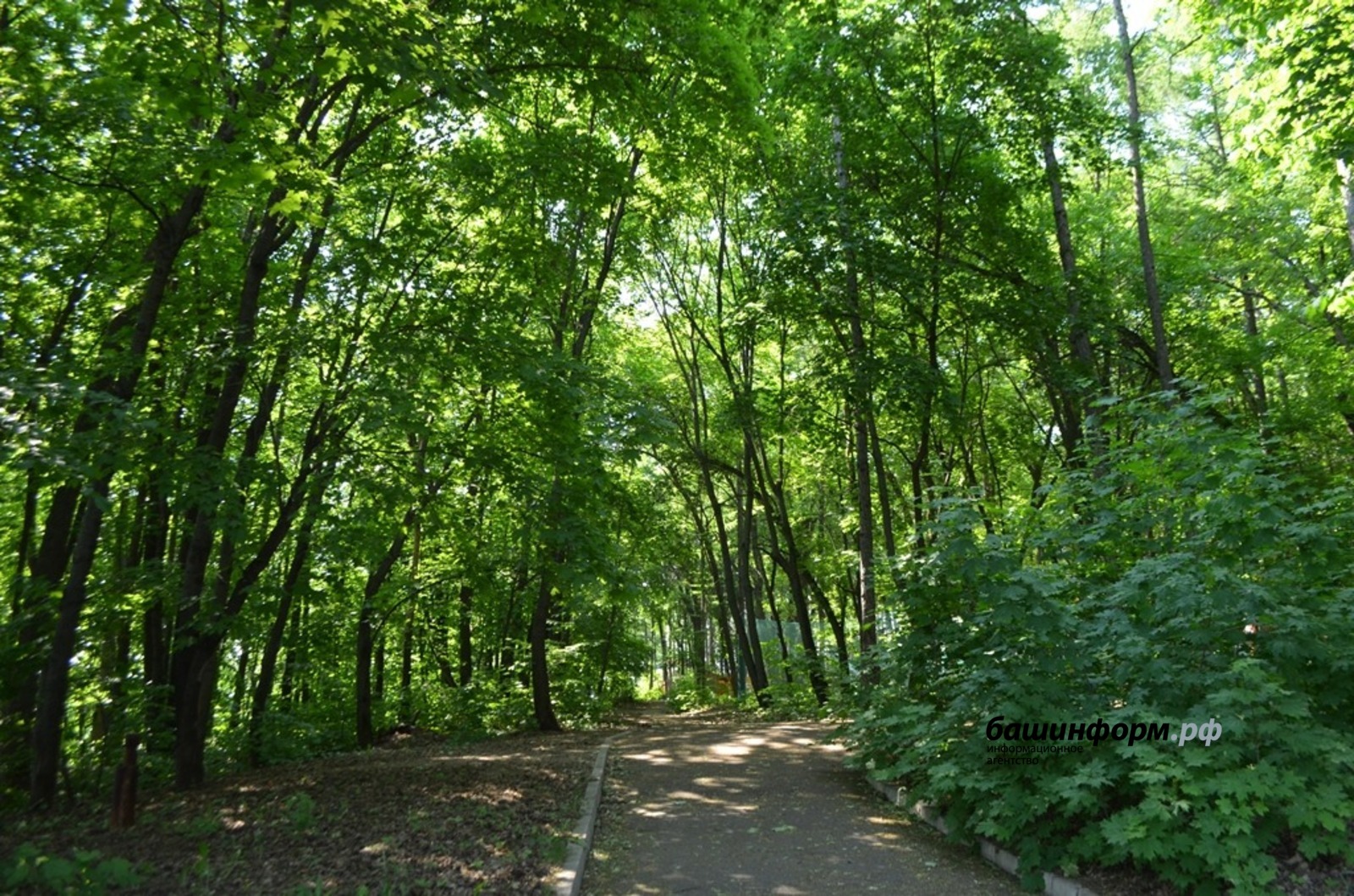 Ксения Калинина