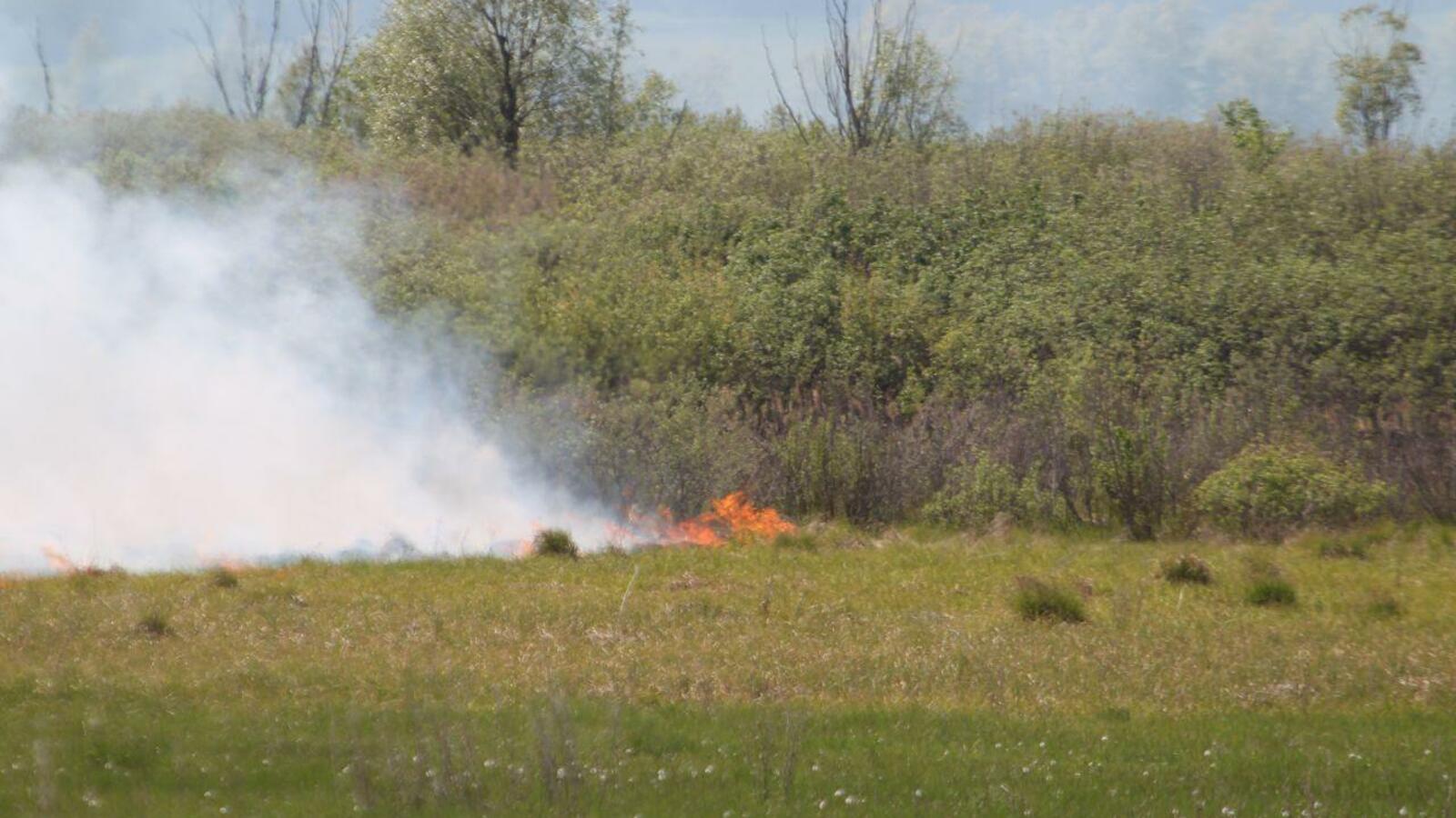 ИА «Башинформ»