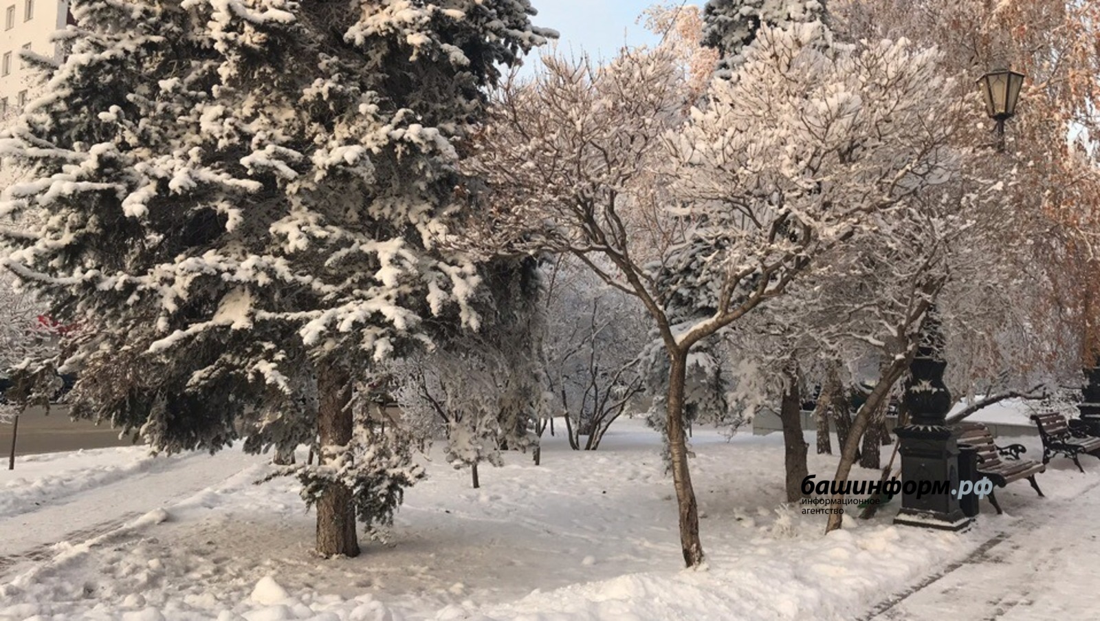 Ксения Калинина