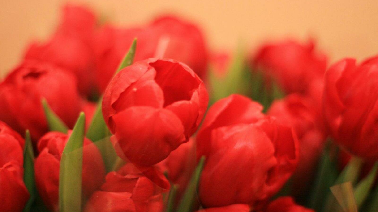 ИА «Башинформ»