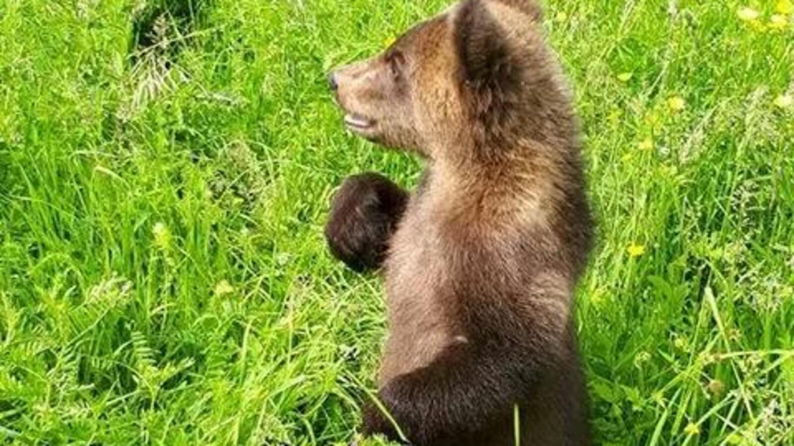 ИА «Башинформ»