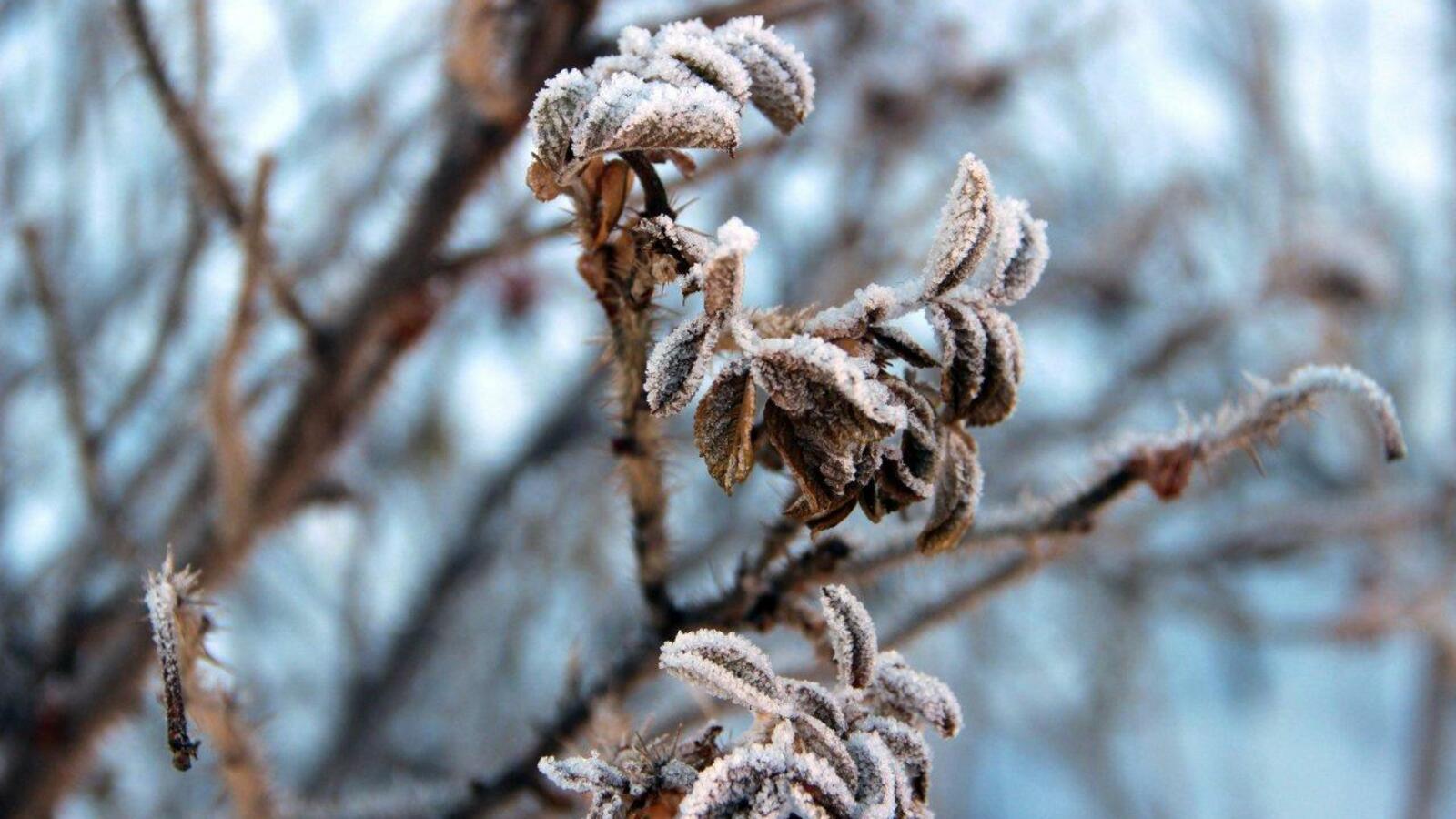 ИА «Башинформ»