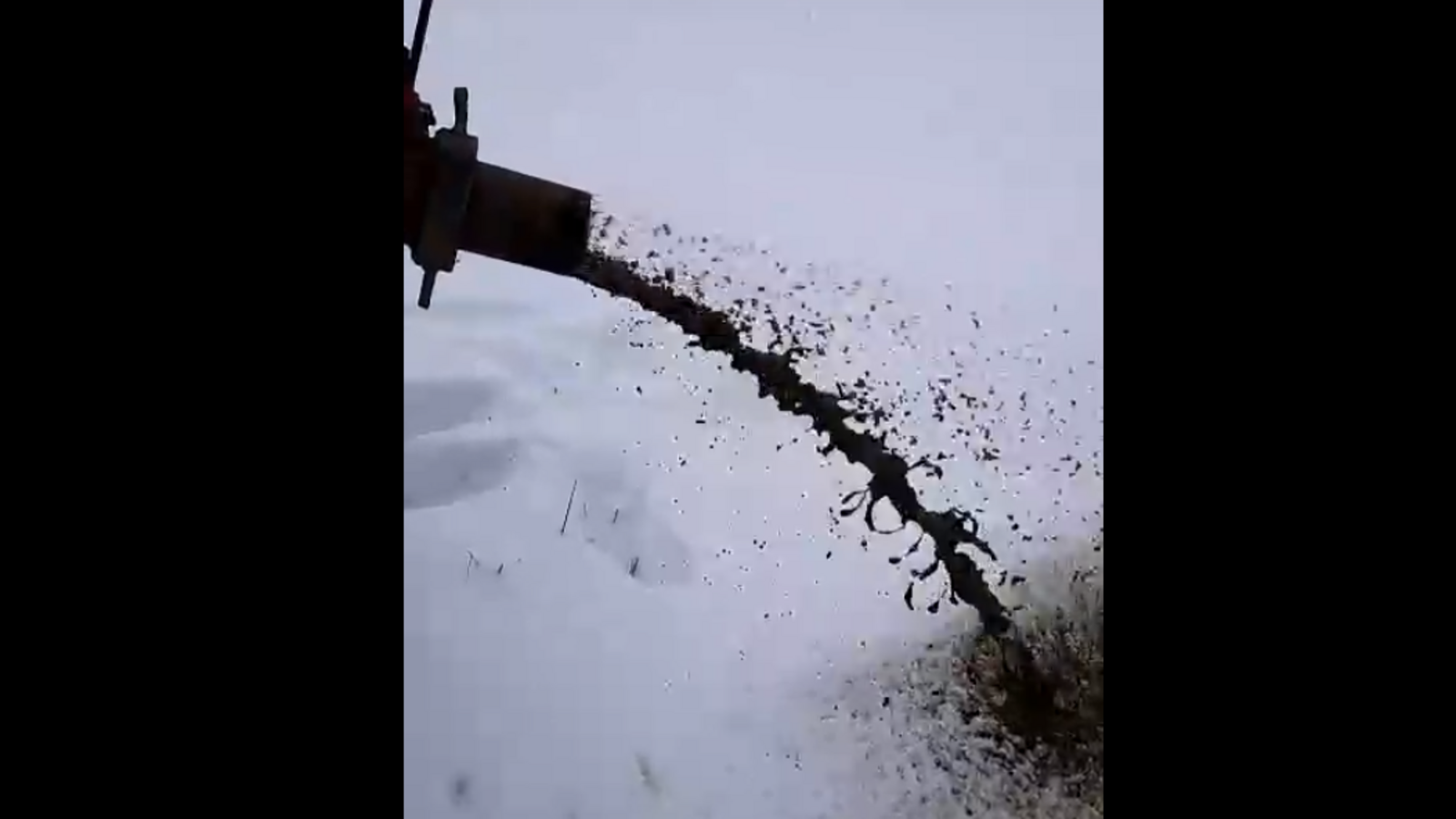 скрин видео