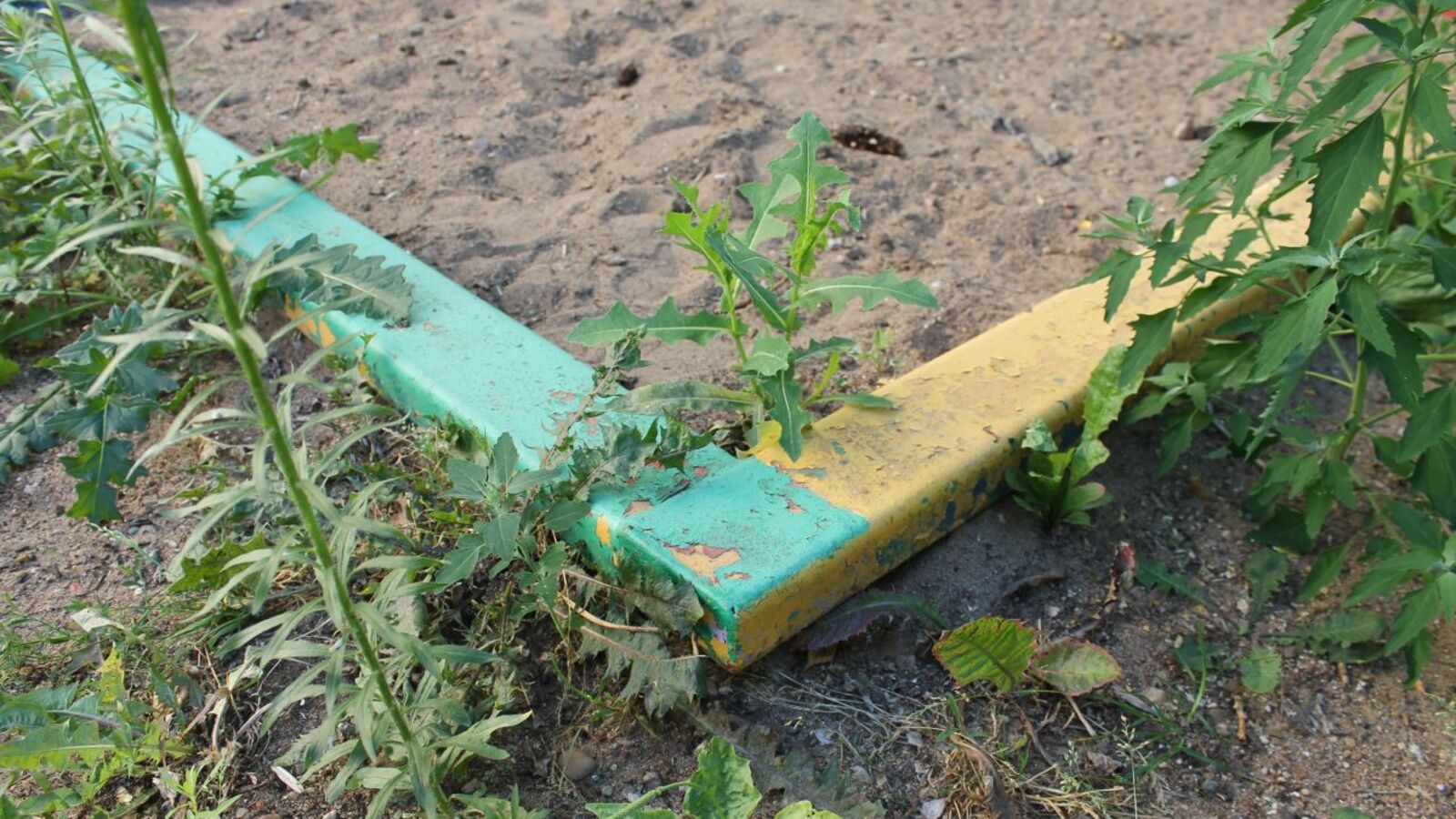 пресс-служба ОНФ