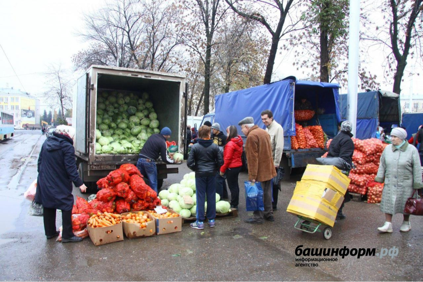 Фермеры Бакалинского района примут участие в уфимской сельхозярмарке