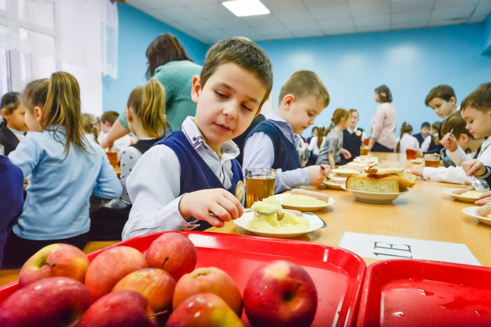 Основы школьного питания