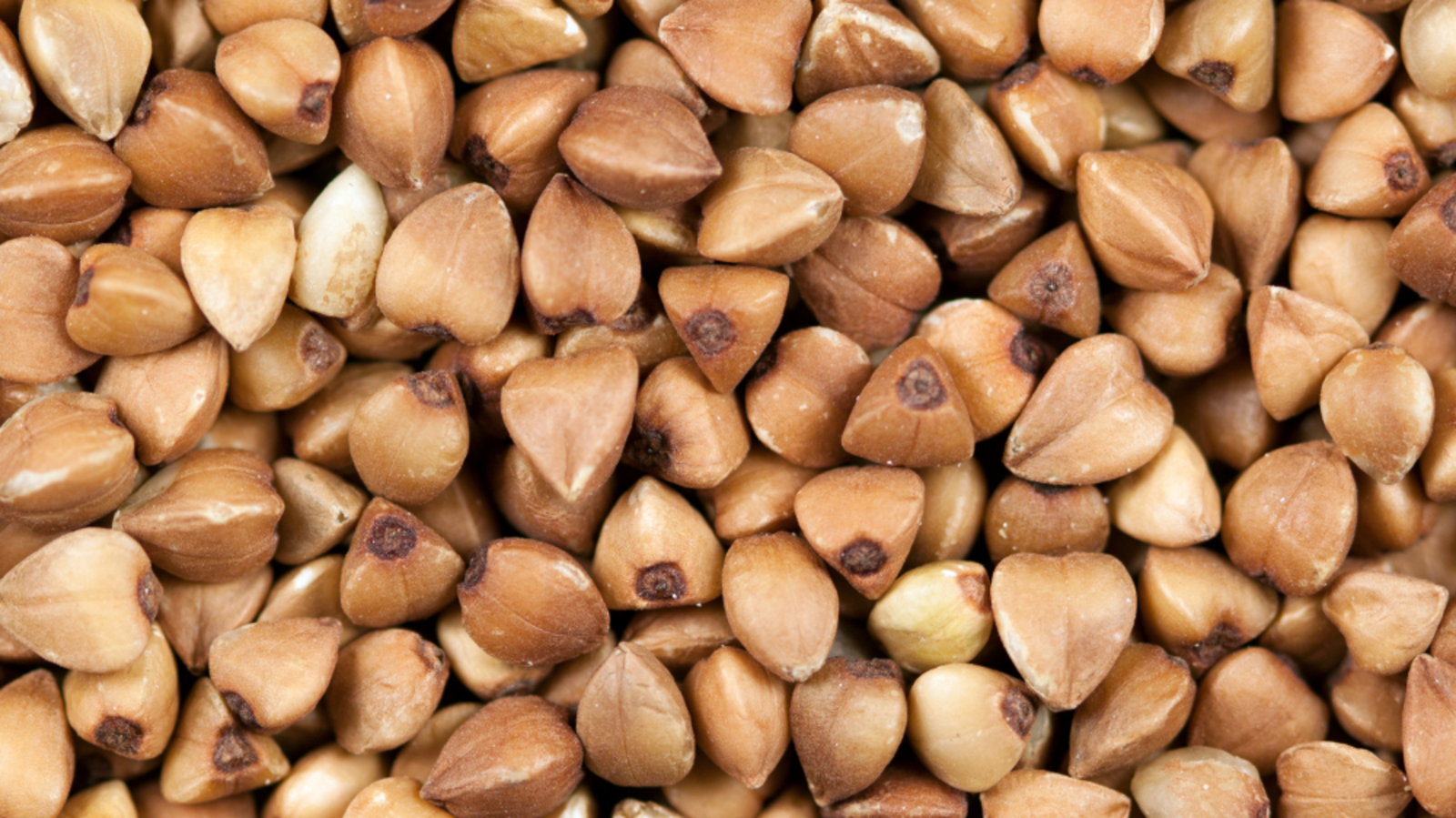 Минсельхоз РБ