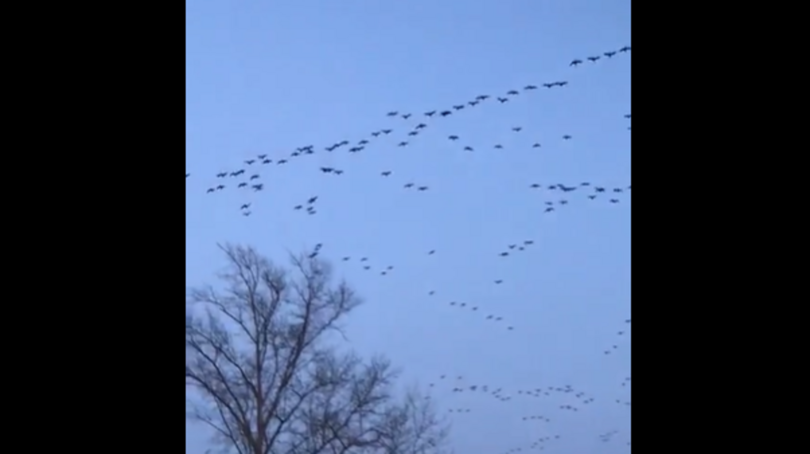 Стоп-кадр видео