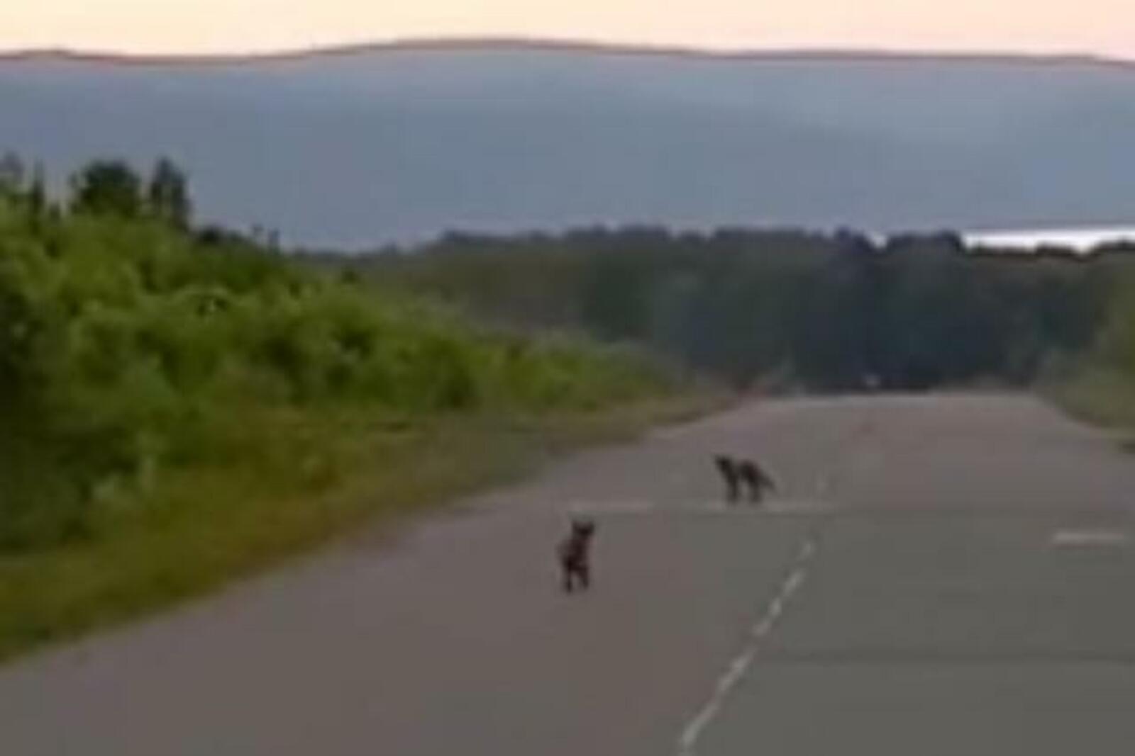 скриншот с видео