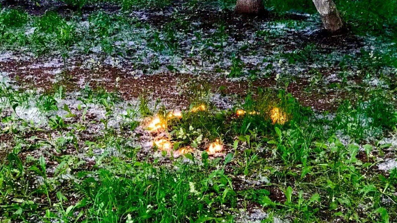 Ксения Калинина